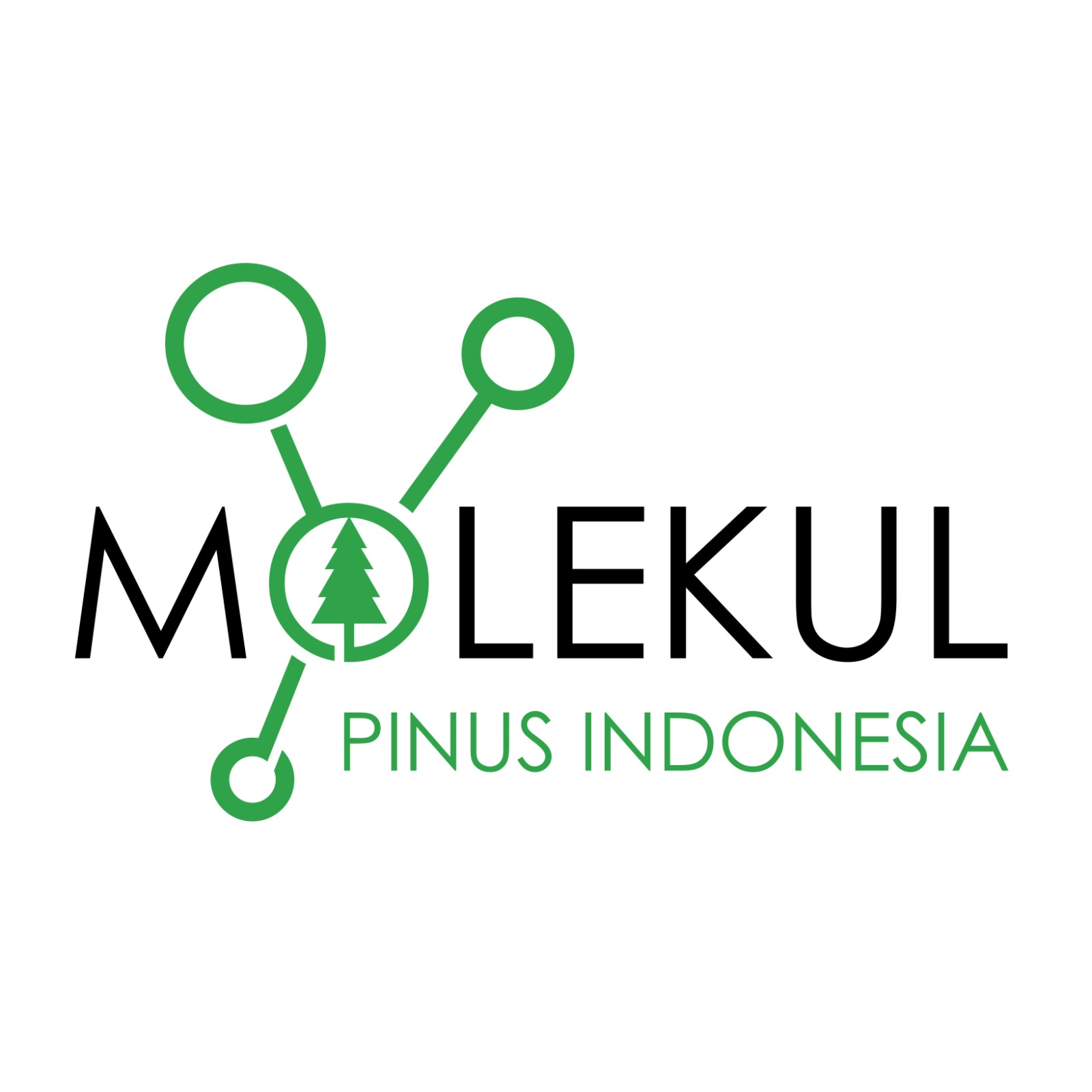 PT Molekul Pinus Indonesia